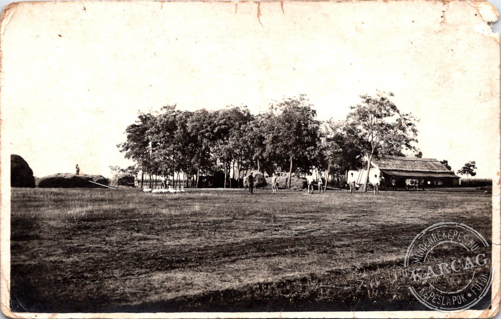 Karcagi tanya
