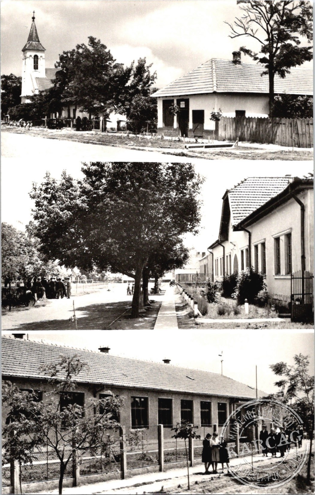 BUCSA