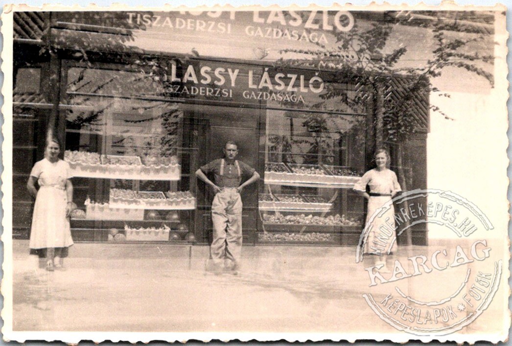 Szilassy László tiszaderzsi gazdasága