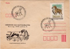 Kutyakiállítás Karcagon