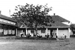 Palántázás