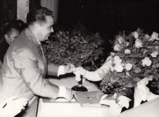 Rózsacsokor
