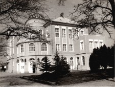 Tavaszi napsütésben
