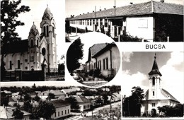 Bucsa