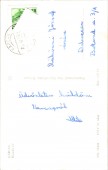KARCAG Kossuth tér