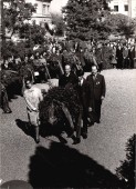 Koszorúzás