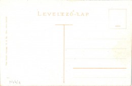 Karczag. Látkép.