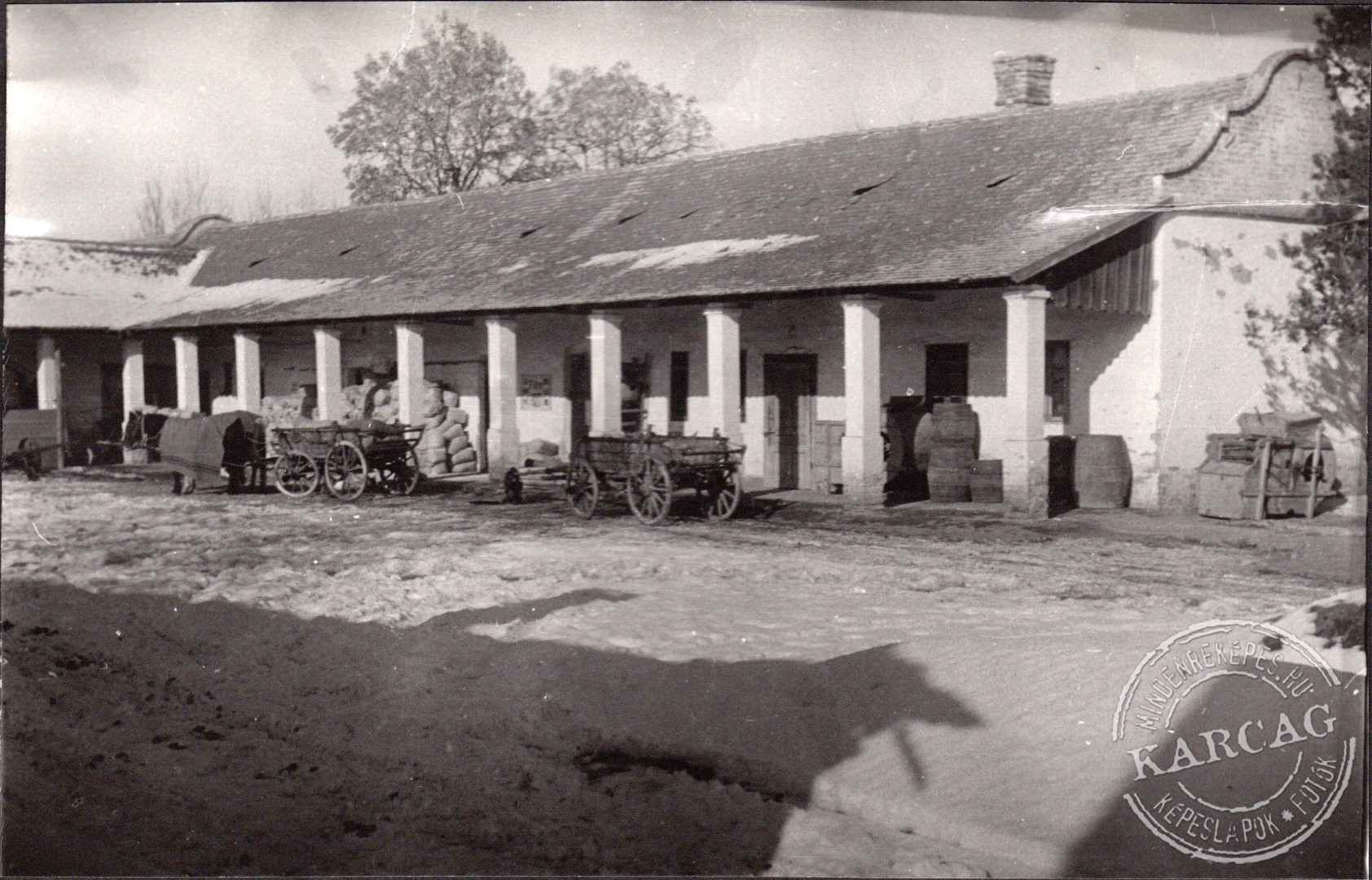 A Dimitrov Tsz udvara