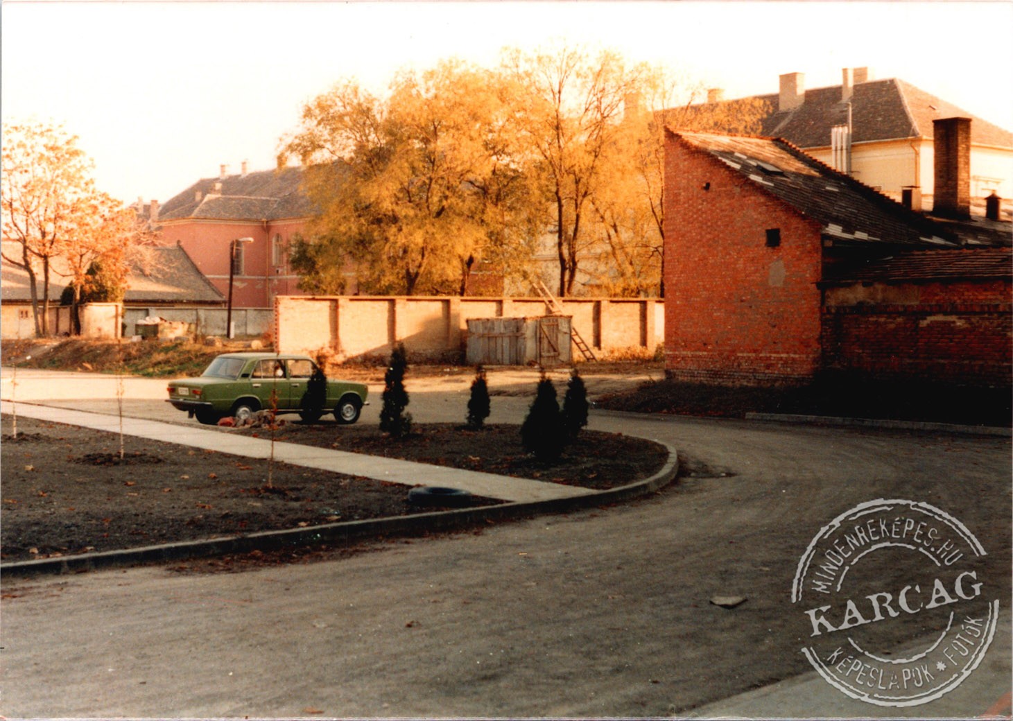 Örökzöldek