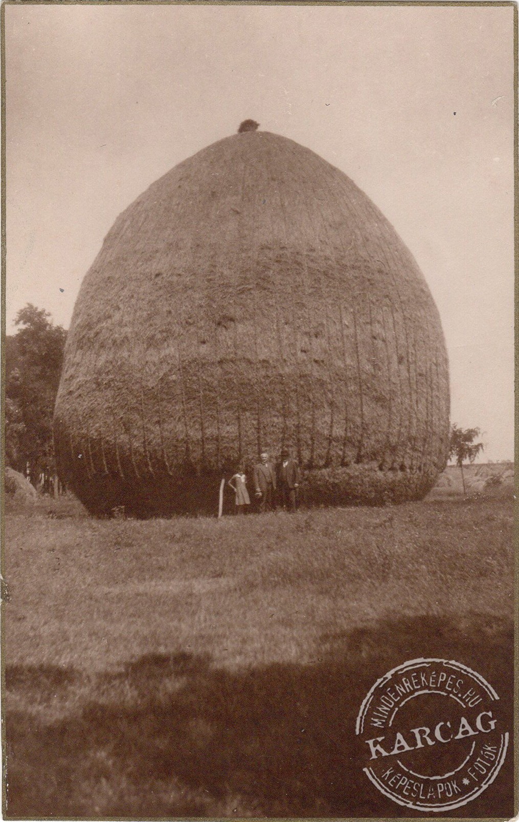 Kunmadarasi szénaboglya