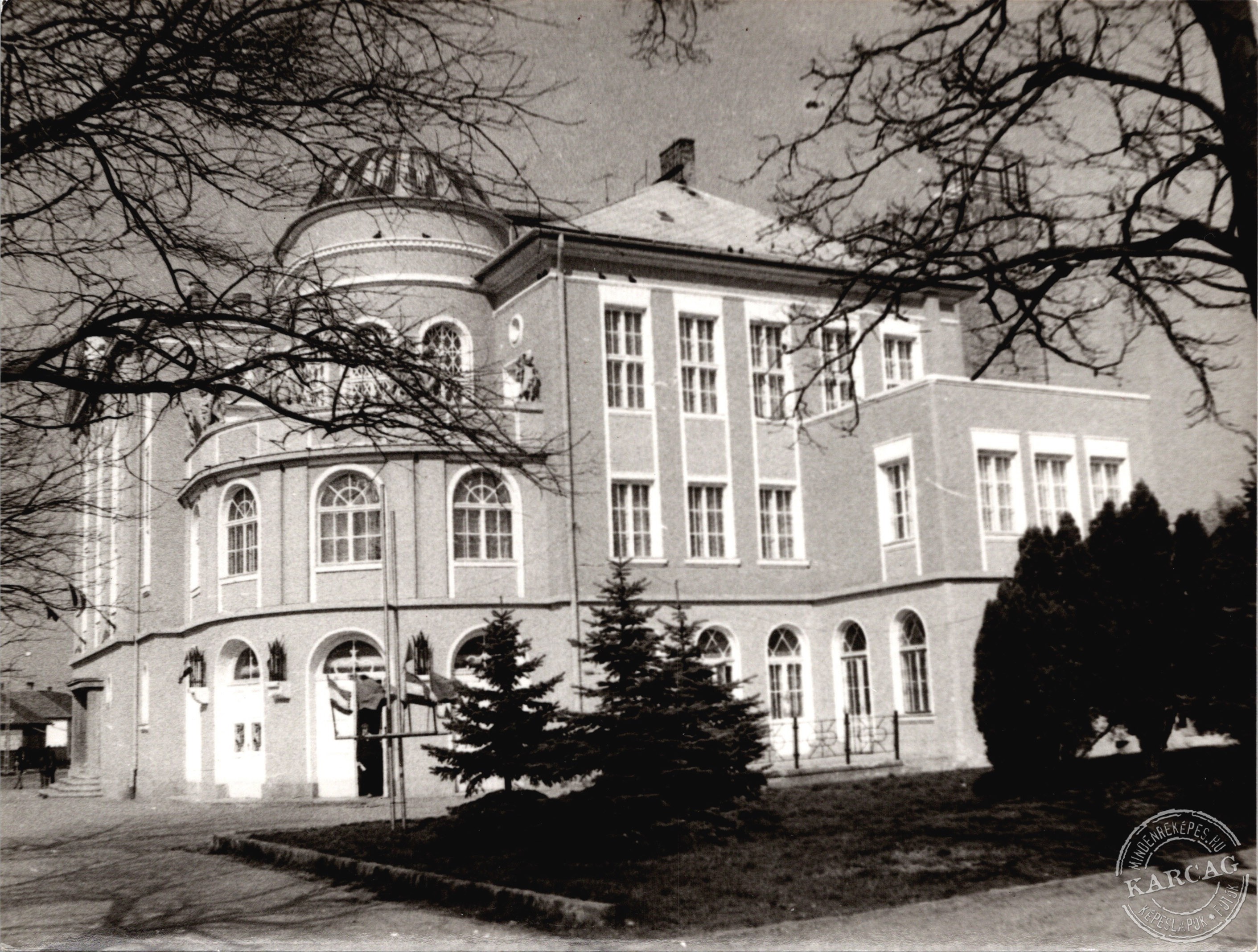 Tavaszi napsütésben